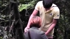 Watched In The Woods