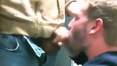 Sucking in a public restroom