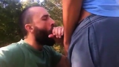 Outdoor Fucking Sucking Cum