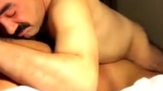 Turco bigotudo