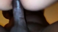 Bbc Anal Self