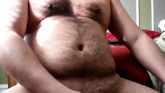 Chubby daddy bear jacking on cam