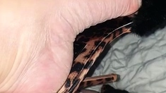 Black Amateur Explore Hot Foot Fetish