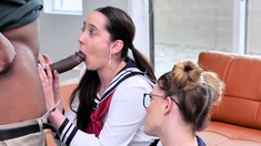 Small tit brunette gives blowjob to a big cock