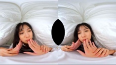 Softcore japanese teen movies in lingerie and bikinis