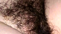 My mature hairy girl! Amateur!