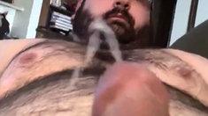 Vid796